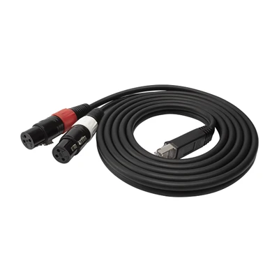 RJ45 ชายถึง 2 X XLR สายไมโครโฟนเสียงหญิง